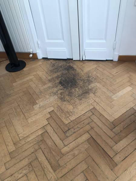 Rénovation d'un parquet suite à des soucis de galerie vers de bois à Marseille